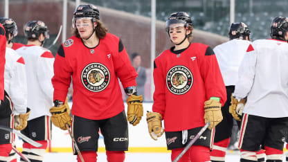 仅展示了库 仅展示了库